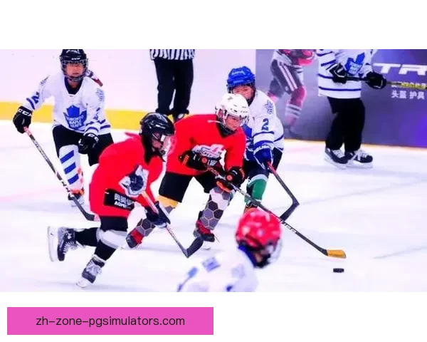 冰球杯赛：燃情对决，精彩纷呈
