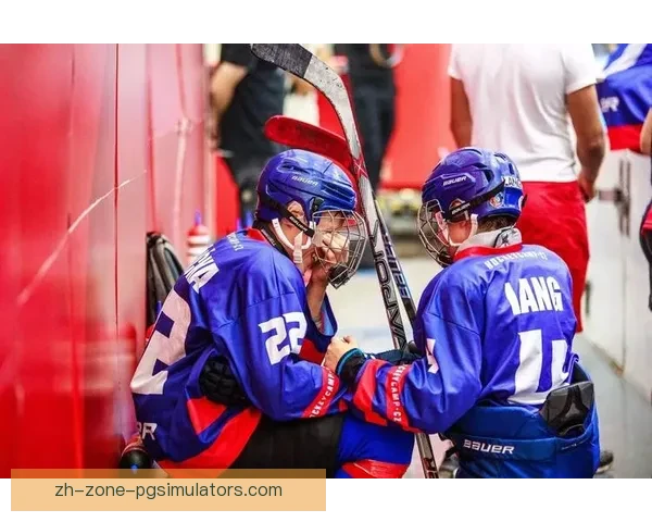 冰球大奖赛：聚焦世界顶级球队，揭秘赛事背后精彩故事