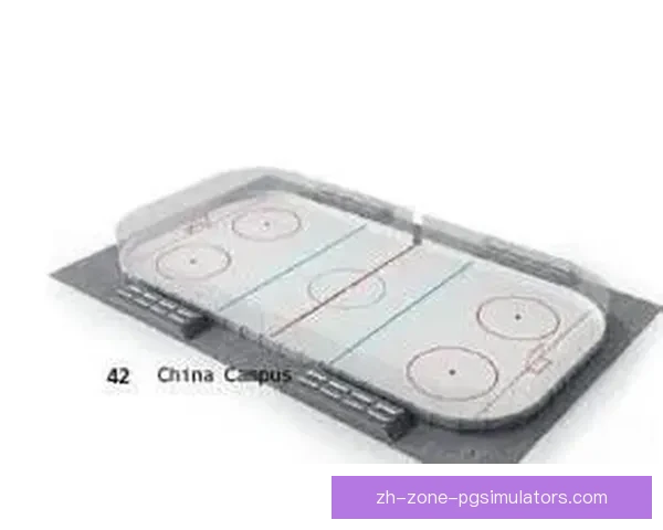 冰球规则解析：比赛规则详解及技巧指南