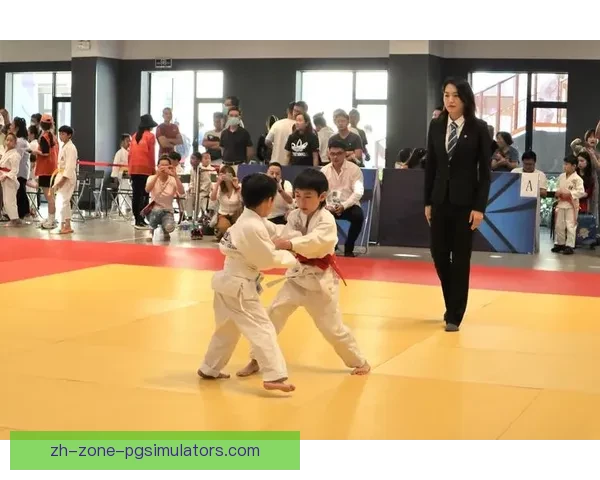 柔道联赛:巅峰对决,王者风云 柔道联赛:巅峰对决,王者风云