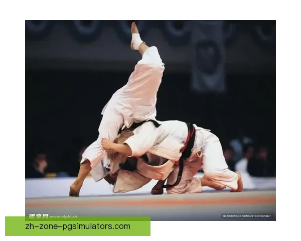 柔道排名解析及技术分析 柔道排名解析及技术分析