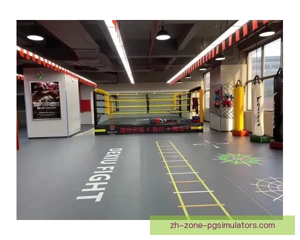 激情搏击！精英对决：拳击杯赛全方位揭秘