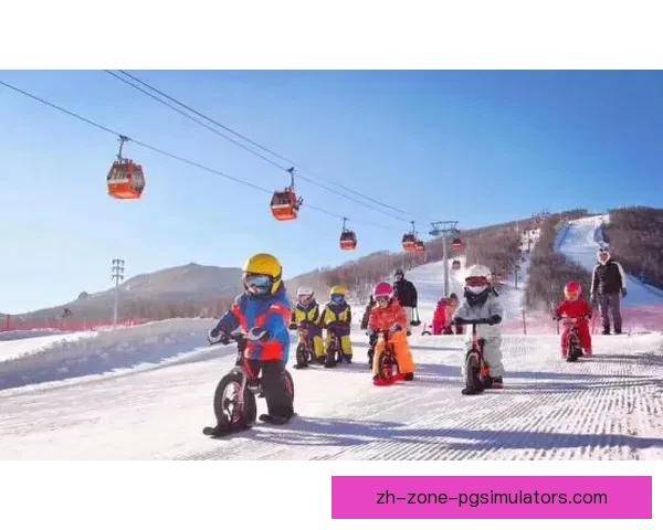 滑雪高级技巧与冲刺突破：提升速度与控制，精通山坡飞驰技术