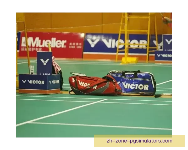 羽毛球史上的辉煌战绩与传奇经历 羽毛球史上的辉煌战绩与传奇经历