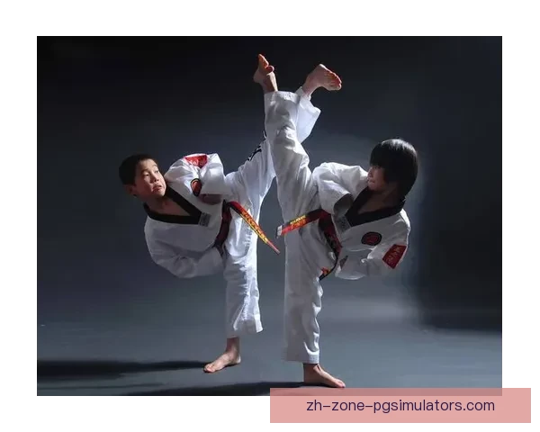 跆拳道入门指南及技巧分享